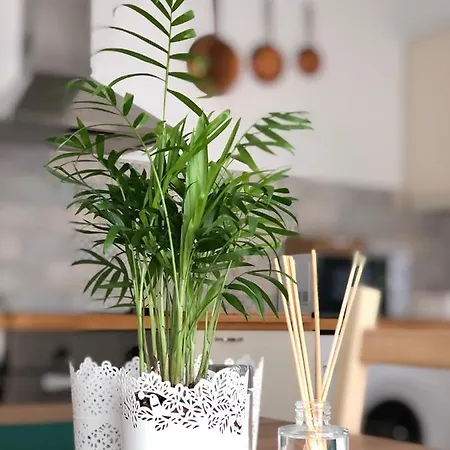 Cseri Porta Kishaz Dom wakacyjny *