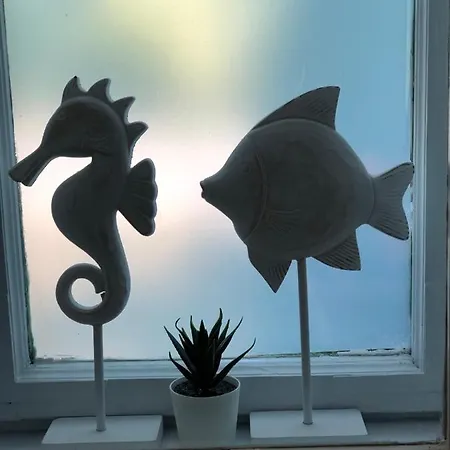 Cseri Porta Kishaz *